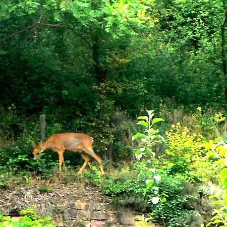 Le Croissant De Lune