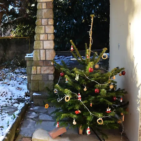 住宿加早餐酒店 新月住宿加早餐酒店 3*